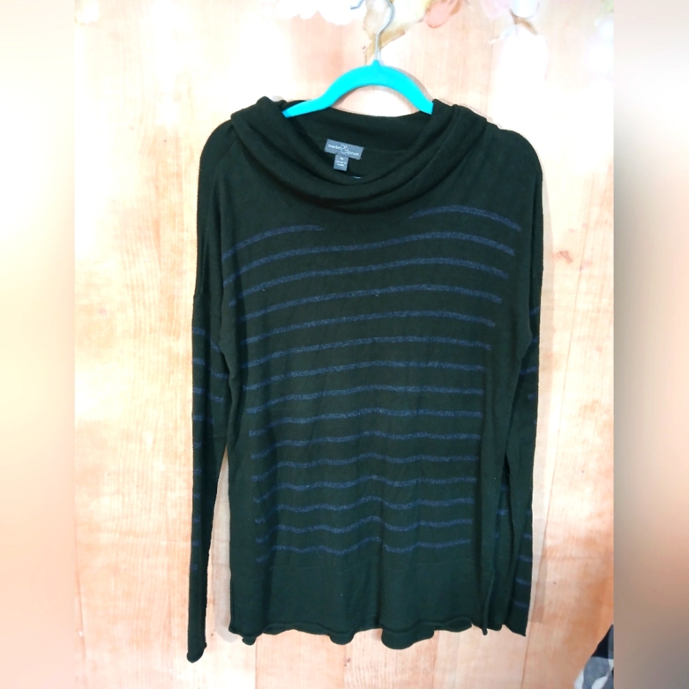 Market & Spruce Green and Purple Cowl Neck Sweater